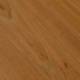 InovarOriginal canyonacacia 8mm laminate inomf560