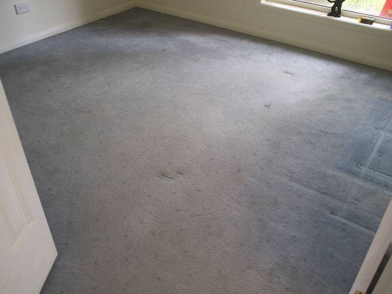 tile wizards carpet renovation 5 tile wizards carpet renovation 5