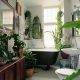 bathroom plants lush