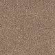 Feltex Delaware Foreshore