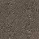 Feltex Delaware Sable