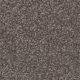 Feltex Discovery Mineral