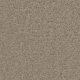 Feltex HollywoodNights WildBoar