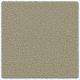 Dove Grey