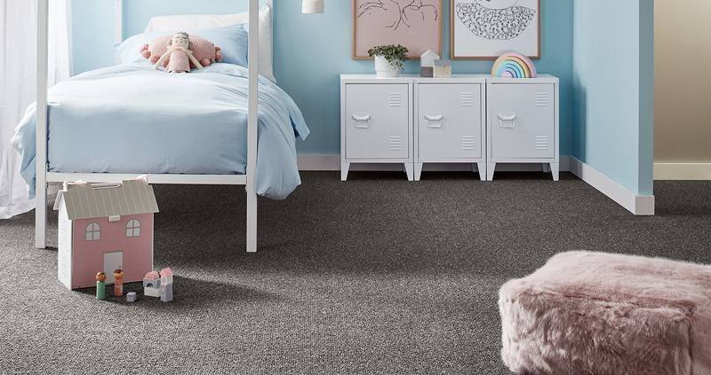 What Is The Best Carpet For Pets2