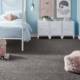What Is The Best Carpet For Pets2