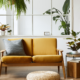 why-biophilic-design-is-on-the-rise